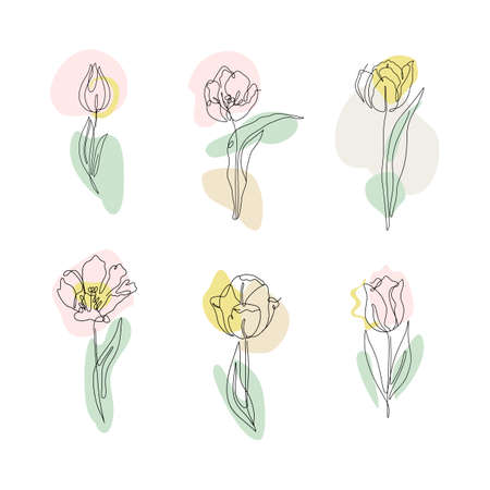 Set of one line drawing tulips. Hand drawn single line flowers with neutral abstract shapesのイラスト素材