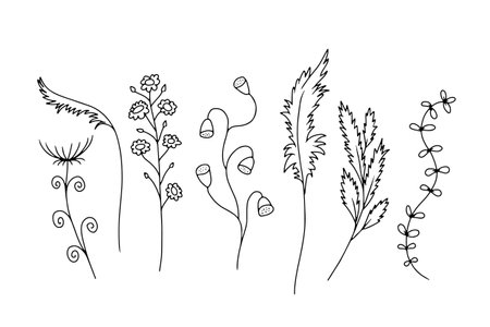 Hand drawn wild flowers illustrations set isolated on white backgroundのイラスト素材