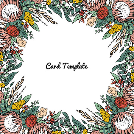 Hand drawn colorful line art protea flower tropical square frameのイラスト素材