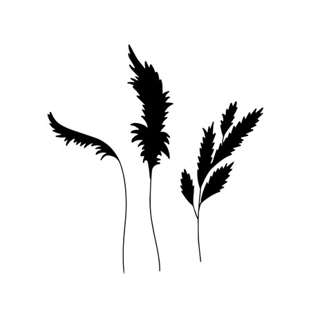 Hand drawn wild flowers silhouettes illustrations set isolated on whiteのイラスト素材