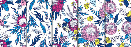 5 Seamless patterns set with pink protea flowers on white background