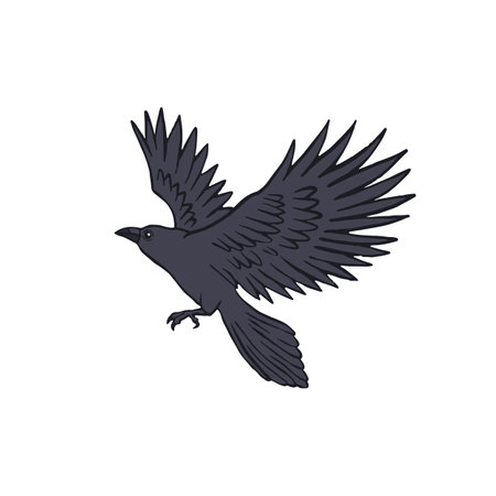 Hand drawn inky sketch style raven or crow isolated on whiteのイラスト素材