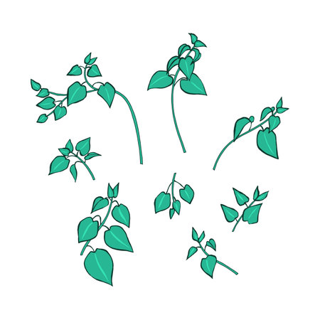 Hand drawn inky sketch style nettle plant set isolated on white backgroundのイラスト素材