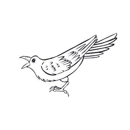 Hand drawn inky sketch style raven or crow isolated on white backgroundのイラスト素材
