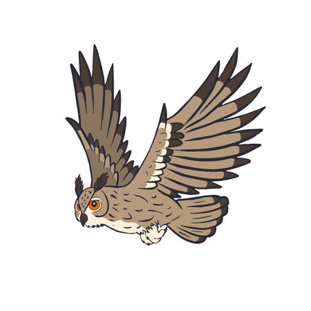 Hand drawn line art eagle-owl flying isolated on white backgroundのイラスト素材
