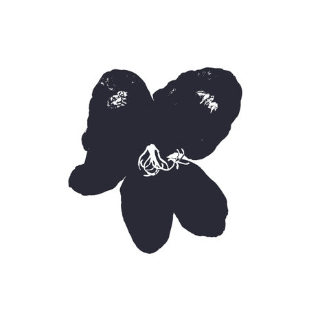 Black and white minimal rustic inky hibiscus flower silhouetteのイラスト素材