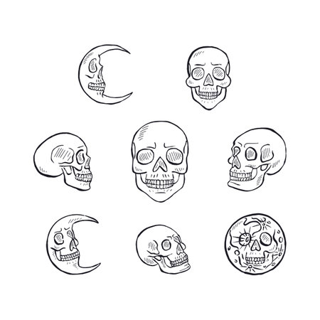 Hand drawn black and white line art human skulls setのイラスト素材