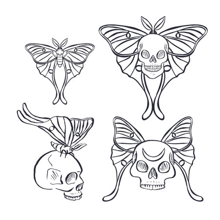 Hand drawn black outline human skulls with butterflies bundle isolated on white backgroundのイラスト素材