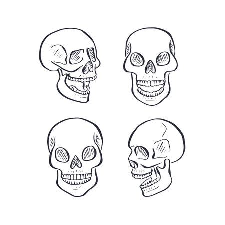 Hand drawn black and white sketchy human skulls set isolated on white backgroundのイラスト素材