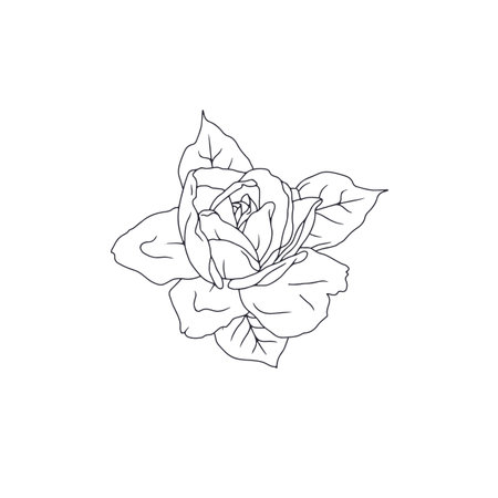 Hand drawn black and white line art rose flower isolated on white backgroundのイラスト素材