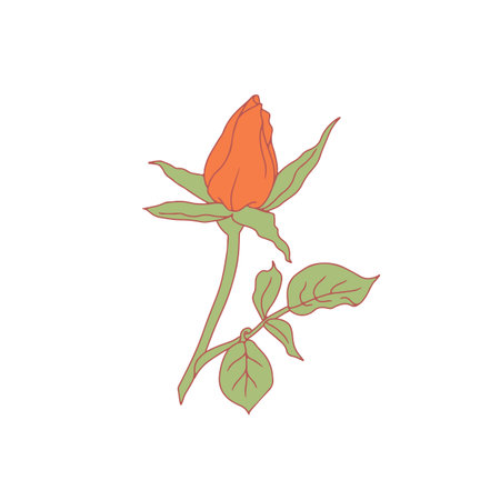 Hand drawn line art orange rose flower isolated on white backgroundのイラスト素材