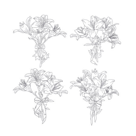 Hand drawn line art black and white lilies beautiful romantic bouquets set with cute bow knotsのイラスト素材