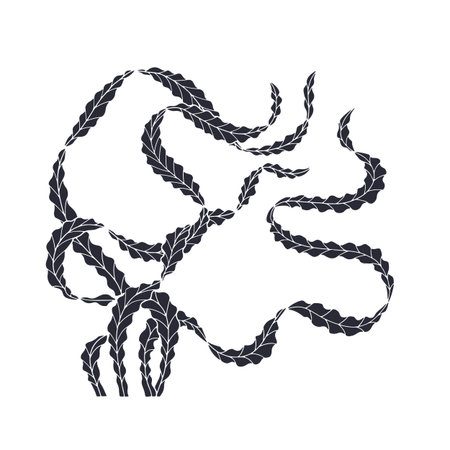 Elegant curvy seaweed hand drawn monochrome vector illustrationのイラスト素材