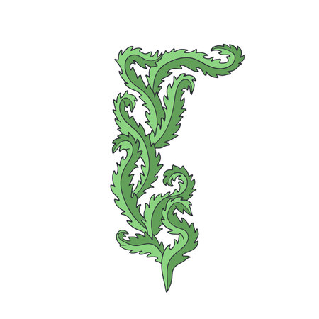 Elegant curvy green seaweed hand drawn vector illustration. Vintage line art marine botany designのイラスト素材