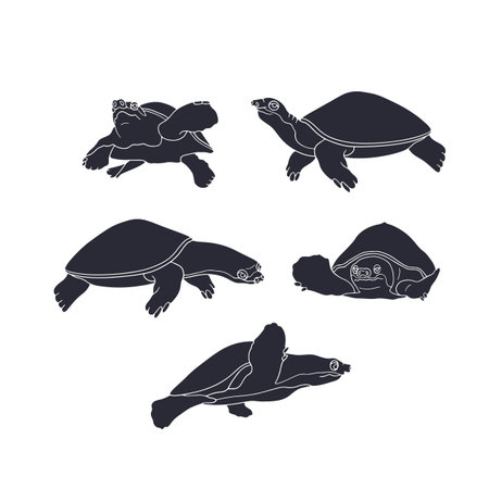 Monochrome hand drawn ocean turtles vector illustration set. Black silhouette of sea reptile clipart bundleのイラスト素材