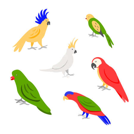Set of six tropic parrots on white background for prints, decorationのイラスト素材