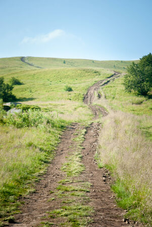 Summer mountain view to Borzhava  (Carpathian mountains, Ukraine).の写真素材