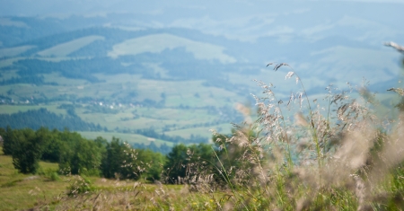 Summer mountain view to Borzhava  (Carpathian mountains, Ukraine).