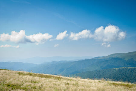 Summer mountain view to Borzhava  (Carpathian mountains, Ukraine).の写真素材