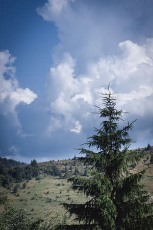 Carpathian mountains, Ukraine