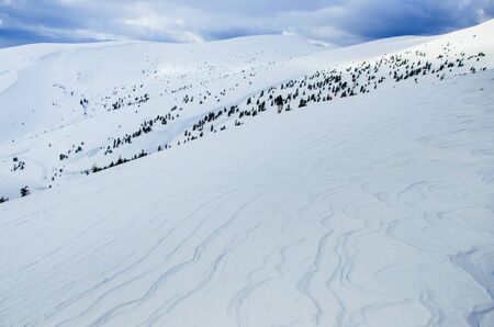 Carpathian mountains in winter,covered with snow, Ukraine