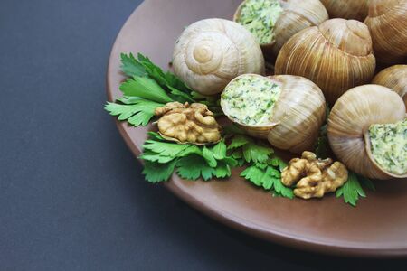 Escargot snails cooked with garlic butter on plateの写真素材