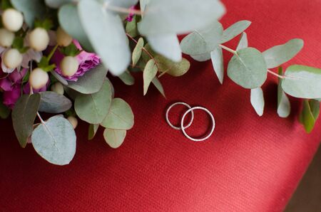 Eucalyptus branch with two wedding rings on red background
