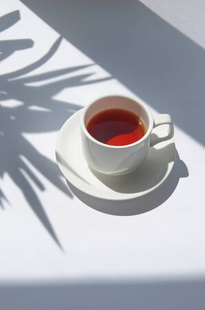 White cup of white tea in the morning with palm tree shadow and blurry background.の写真素材