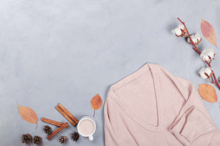 Autumn background with pumpkin, cinnamon and cotton plant on white backgroundの写真素材