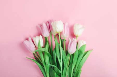 Bouqet of spring tilip flowers on pink background, flat lay