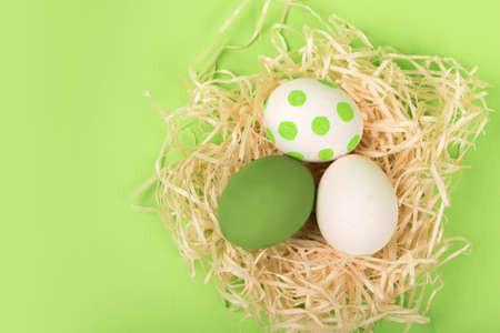 Nest with painted color easter eggs on green background