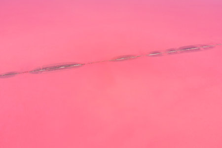 Aerial view of wooden structures for collecting salt on a pink lake, Genicheskの写真素材