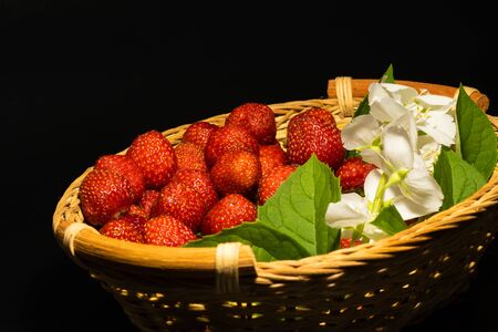 Ripe strawberries with jasmine flowers in a wicker basket, on a table with a black background.の写真素材