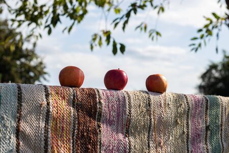 On the fence, which is covered with multi-colored sackcloth, are three ripe apples against the sky.の写真素材