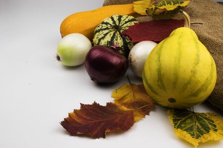 On a white background, red, yellow and green autumn leaves along with vegetables, which are zucchini, two decorative pumpkins, squash and onion heads.Near burlap.の写真素材