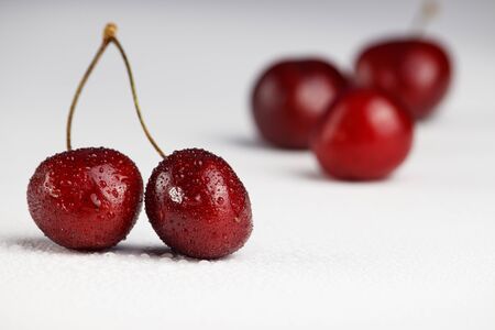 Ripe cherry berries on the leg in focus. In the background, the berries are blurred.