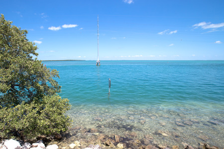 Shoreline of the Florida Keys with pretty blue sky and clouds.の写真素材