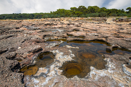 stone coast with water pitsの写真素材