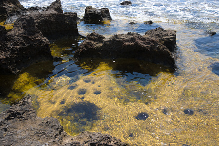 stone pit on the coast filled with sea waterの写真素材