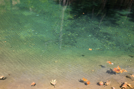 mountain lake with clear green water and fallen yellow leavesの写真素材