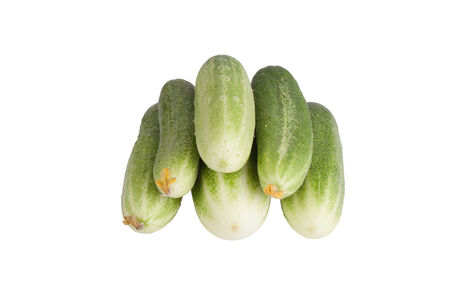 Few fresh cucumbers with flowers isolated on white backgroundの写真素材