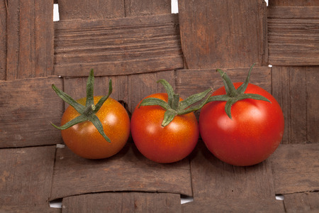 freshly picked tomatoes in old dirty wooden basketの写真素材