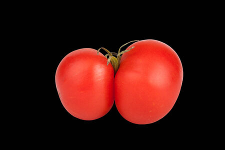 tomato twins isolated on black backgroundの写真素材