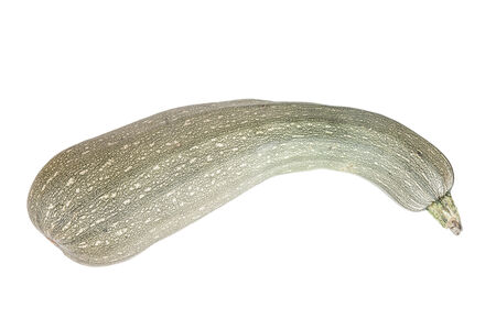 vegetable marrow isolated on a white backgroundの写真素材