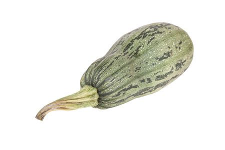 vegetable marrow isolated on a white backgroundの写真素材