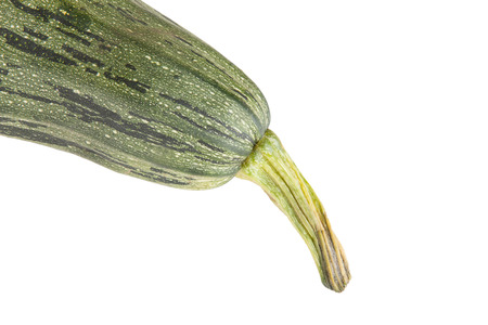 the tip of the vegetable marrow with a tail isolated on white backgroundの写真素材