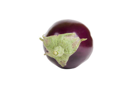eggplant isolated on white backgroundの写真素材