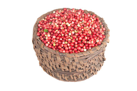 berries a cowberry in the old basket isolated on white backgroundの写真素材