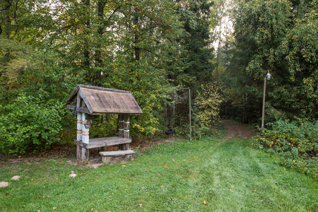 Abandoned buildings in the forestの写真素材