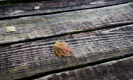 Texture of the wooden bridge with yellow leafの写真素材
